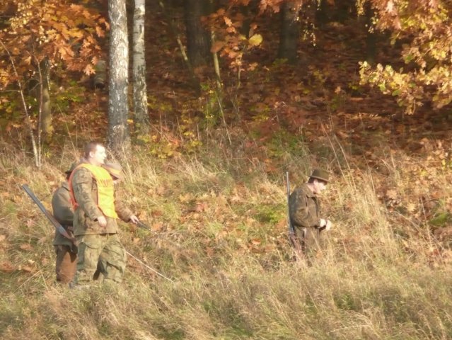 Polowania 26.10.08